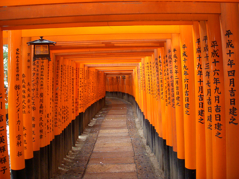 DSCN35961.JPG