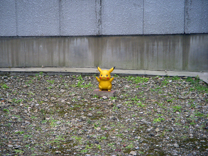 DSCN8601.JPG